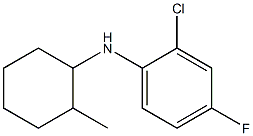 2-chloro-4-fluoro-N-(2-methylcyclohexyl)aniline 구조식 이미지