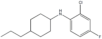 2-chloro-4-fluoro-N-(4-propylcyclohexyl)aniline Structure