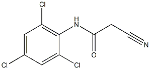 2-cyano-N-(2,4,6-trichlorophenyl)acetamide Structure