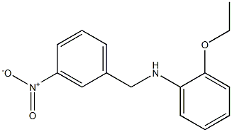 2-ethoxy-N-[(3-nitrophenyl)methyl]aniline 구조식 이미지