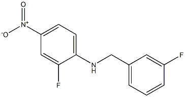 2-fluoro-N-[(3-fluorophenyl)methyl]-4-nitroaniline Structure