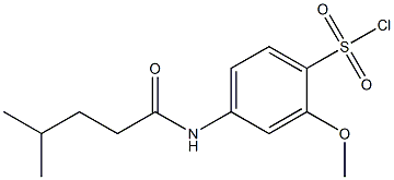 2-methoxy-4-(4-methylpentanamido)benzene-1-sulfonyl chloride Structure
