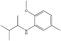 2-methoxy-5-methyl-N-(3-methylbutan-2-yl)aniline 구조식 이미지