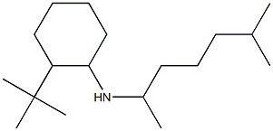 2-tert-butyl-N-(6-methylheptan-2-yl)cyclohexan-1-amine 구조식 이미지