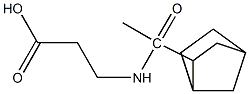 3-(1-{bicyclo[2.2.1]heptan-2-yl}acetamido)propanoic acid Structure