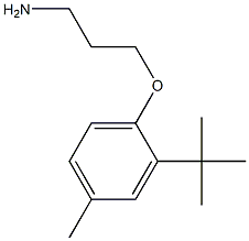 3-(2-tert-butyl-4-methylphenoxy)propan-1-amine 구조식 이미지