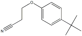 3-(4-tert-butylphenoxy)propanenitrile Structure