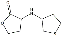 3-(thiolan-3-ylamino)oxolan-2-one Structure
