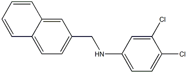 3,4-dichloro-N-(naphthalen-2-ylmethyl)aniline Structure