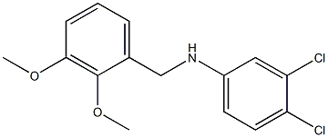 3,4-dichloro-N-[(2,3-dimethoxyphenyl)methyl]aniline Structure