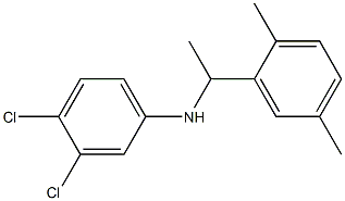 3,4-dichloro-N-[1-(2,5-dimethylphenyl)ethyl]aniline Structure