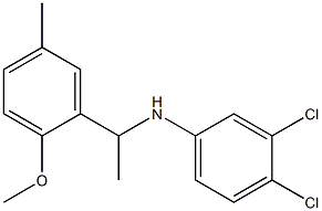 3,4-dichloro-N-[1-(2-methoxy-5-methylphenyl)ethyl]aniline Structure