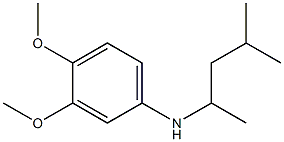 3,4-dimethoxy-N-(4-methylpentan-2-yl)aniline 구조식 이미지