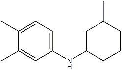 3,4-dimethyl-N-(3-methylcyclohexyl)aniline Structure