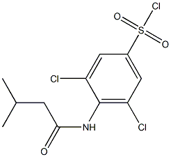 3,5-dichloro-4-(3-methylbutanamido)benzene-1-sulfonyl chloride 구조식 이미지