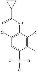 3,5-dichloro-4-cyclopropaneamido-2-methylbenzene-1-sulfonyl chloride Structure