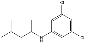 3,5-dichloro-N-(4-methylpentan-2-yl)aniline 구조식 이미지