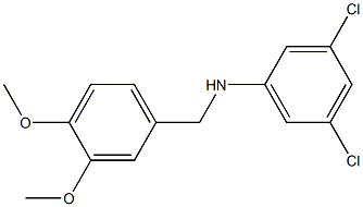 3,5-dichloro-N-[(3,4-dimethoxyphenyl)methyl]aniline Structure