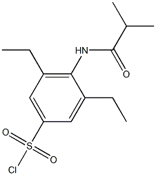 3,5-diethyl-4-(2-methylpropanamido)benzene-1-sulfonyl chloride 구조식 이미지