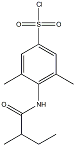 3,5-dimethyl-4-(2-methylbutanamido)benzene-1-sulfonyl chloride Structure