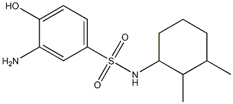 3-amino-N-(2,3-dimethylcyclohexyl)-4-hydroxybenzene-1-sulfonamide 구조식 이미지