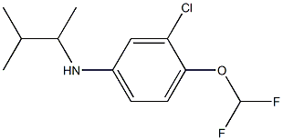 3-chloro-4-(difluoromethoxy)-N-(3-methylbutan-2-yl)aniline 구조식 이미지