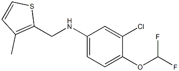 3-chloro-4-(difluoromethoxy)-N-[(3-methylthiophen-2-yl)methyl]aniline Structure