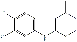 3-chloro-4-methoxy-N-(3-methylcyclohexyl)aniline 구조식 이미지