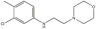 3-chloro-4-methyl-N-[2-(morpholin-4-yl)ethyl]aniline Structure