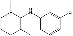 3-chloro-N-(2,6-dimethylcyclohexyl)aniline Structure