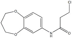 3-chloro-N-(3,4-dihydro-2H-1,5-benzodioxepin-7-yl)propanamide Structure