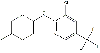 3-chloro-N-(4-methylcyclohexyl)-5-(trifluoromethyl)pyridin-2-amine 구조식 이미지