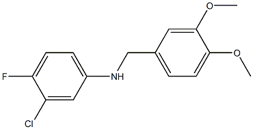 3-chloro-N-[(3,4-dimethoxyphenyl)methyl]-4-fluoroaniline Structure