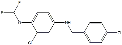 3-chloro-N-[(4-chlorophenyl)methyl]-4-(difluoromethoxy)aniline 구조식 이미지