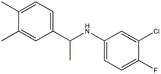 3-chloro-N-[1-(3,4-dimethylphenyl)ethyl]-4-fluoroaniline Structure