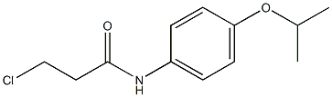 3-chloro-N-[4-(propan-2-yloxy)phenyl]propanamide 구조식 이미지