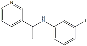 3-iodo-N-[1-(pyridin-3-yl)ethyl]aniline 구조식 이미지