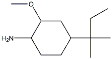 4-(1,1-dimethylpropyl)-2-methoxycyclohexanamine Structure