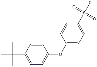 4-(4-tert-butylphenoxy)benzene-1-sulfonyl chloride Structure