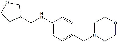 4-(morpholin-4-ylmethyl)-N-(oxolan-3-ylmethyl)aniline 구조식 이미지