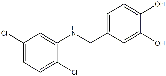 4-{[(2,5-dichlorophenyl)amino]methyl}benzene-1,2-diol 구조식 이미지