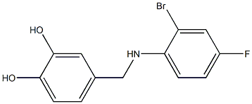 4-{[(2-bromo-4-fluorophenyl)amino]methyl}benzene-1,2-diol Structure