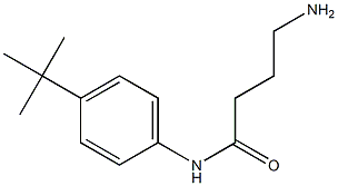 4-amino-N-(4-tert-butylphenyl)butanamide 구조식 이미지