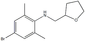 4-bromo-2,6-dimethyl-N-(oxolan-2-ylmethyl)aniline 구조식 이미지