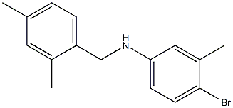 4-bromo-N-[(2,4-dimethylphenyl)methyl]-3-methylaniline 구조식 이미지