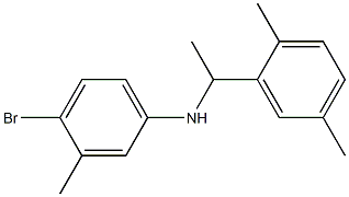 4-bromo-N-[1-(2,5-dimethylphenyl)ethyl]-3-methylaniline Structure