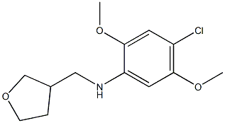 4-chloro-2,5-dimethoxy-N-(oxolan-3-ylmethyl)aniline Structure