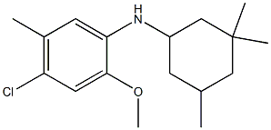 4-chloro-2-methoxy-5-methyl-N-(3,3,5-trimethylcyclohexyl)aniline Structure