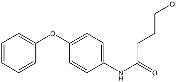 4-chloro-N-(4-phenoxyphenyl)butanamide 구조식 이미지