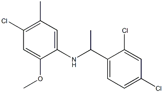 4-chloro-N-[1-(2,4-dichlorophenyl)ethyl]-2-methoxy-5-methylaniline Structure